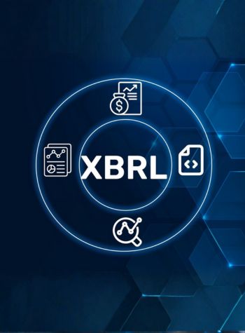 Untitled design (19)